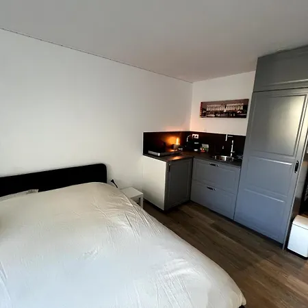 Le Local Destiercelins Апартаменты Нанси