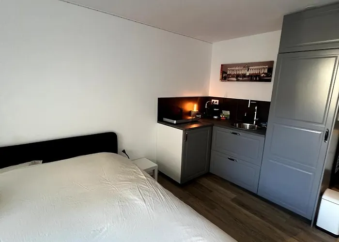 Le Local Destiercelins Appartement Nancy